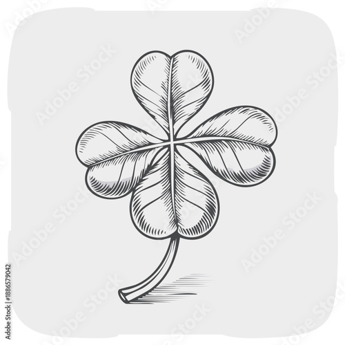 Hand Drawn Four Leaf Clover Sketch Symbol of Luck and Fortune Botanical Illustration