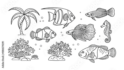 Aquatic Life Illustration: A detailed illustration showcasing a diverse collection of marine life. This intricate artwork captures the elegance of various fish species.