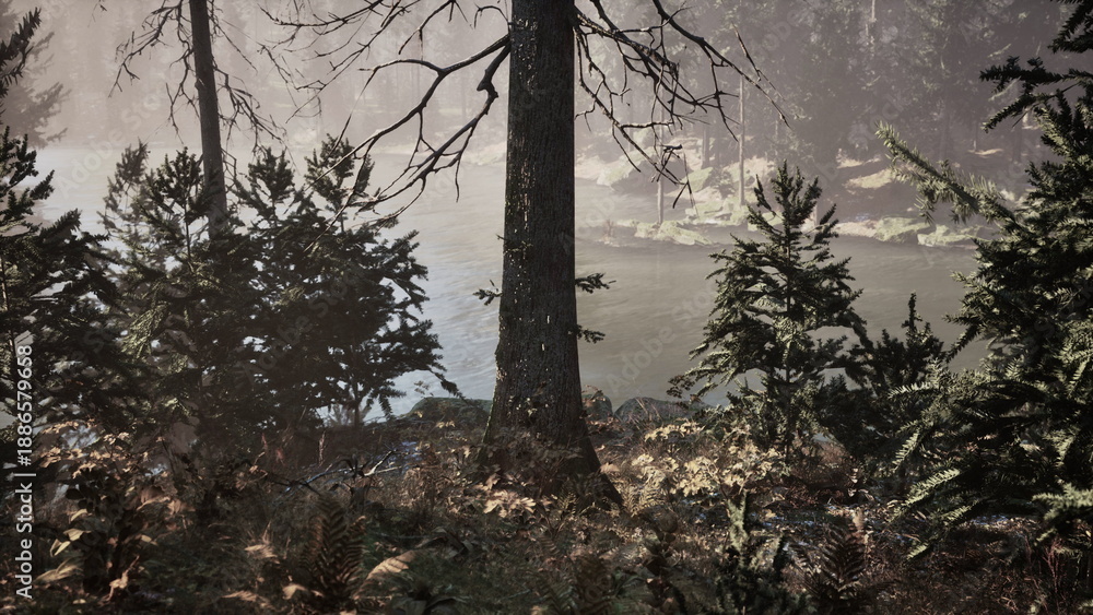 Fototapeta premium Sunlight filters through towering trees as a serene river winds through a lush forest. Ferns and shrubs frame the scene, creating a peaceful and inviting atmosphere for wildlife.