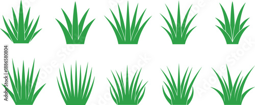 Stylized green grass clump illustrations set in varied blade shapes and densities for landscaping, botanical design, nature graphics, and eco-themed creative projects.