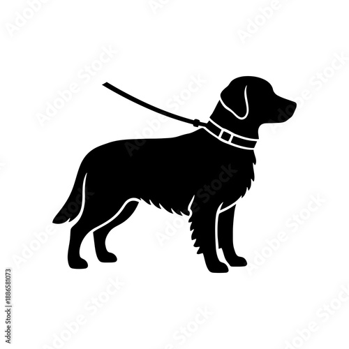 Golden Retriever Silhouette with Leash, Isolated on White Background, Vector Illustration