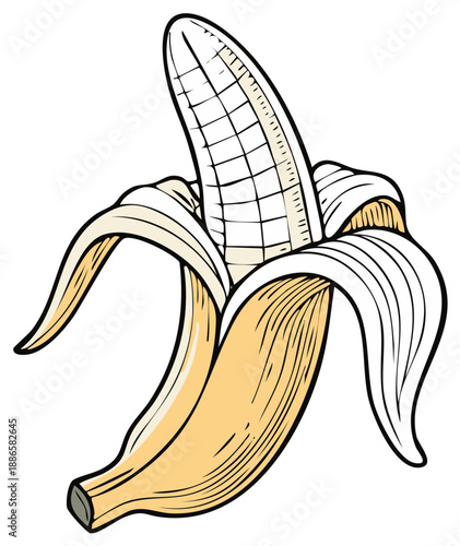 Half peeled banana fruit illustration, ripe banana with cartoon style lines