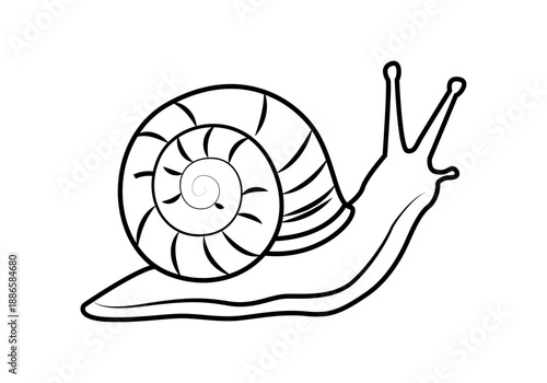 Icono de caracol con concha en espiral y antenas