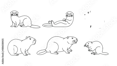 Adorable Group of Semi-aquatic Creatures: An endearing collection of various semi-aquatic animals, showcasing their unique forms and characteristics in simple yet captivating illustrations.