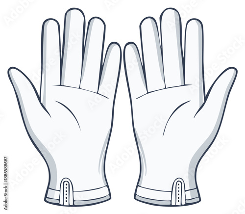 Pair of White Gloves Clean Presentation Protection Hands Illustration