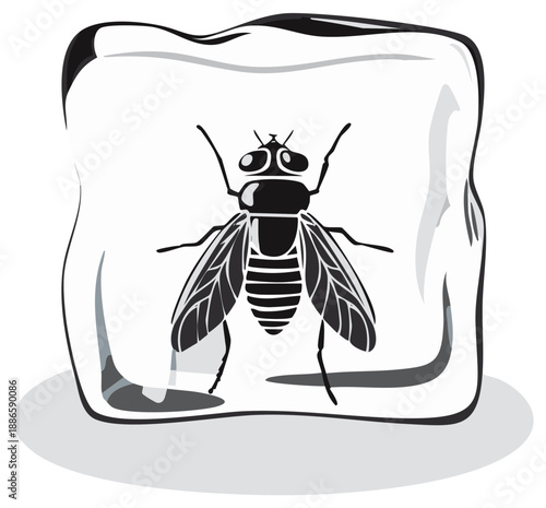 Stylized illustration of a fly frozen inside a clear ice cube with a dark silhouette effect creating a unique visual insect vector