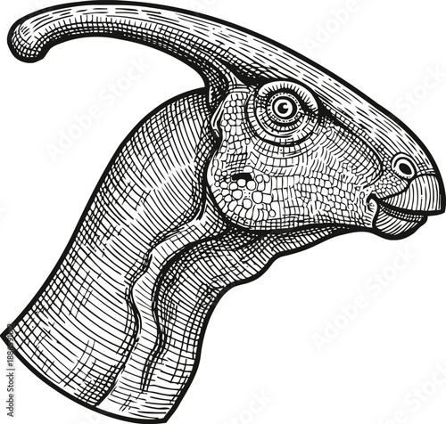 parasaurolophus dinosaur head sketch prehistoric herbivore reptile with distinctive curved crest profile