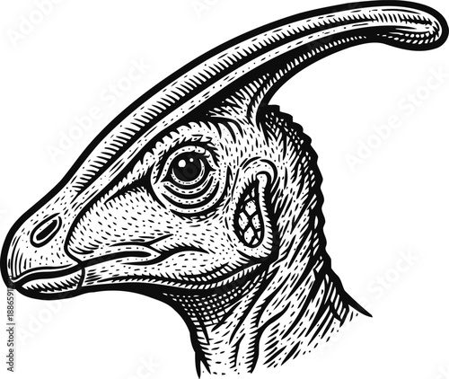 Black and white parasaurolophus dinosaur head illustration prehistoric reptile with curved crest, side view detailed drawing