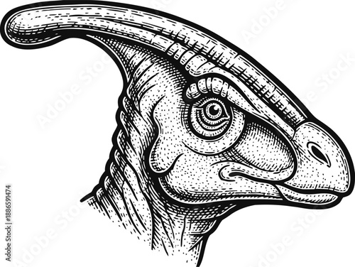 Detailed parasaurolophus dinosaur head engraving prehistoric reptile sketch with curved cranial crest jurassic fossil illustration