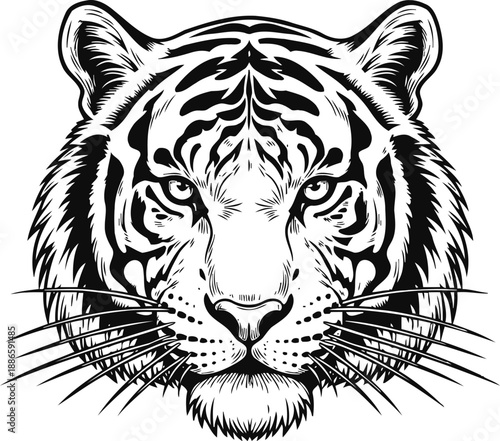 black and white tiger face illustration with detailed stripes and intense gaze, wild animal portrait