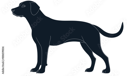 Silhouette of standing black dog side view flat minimalist vector illustration of canine with curved tail and alert posture on white background