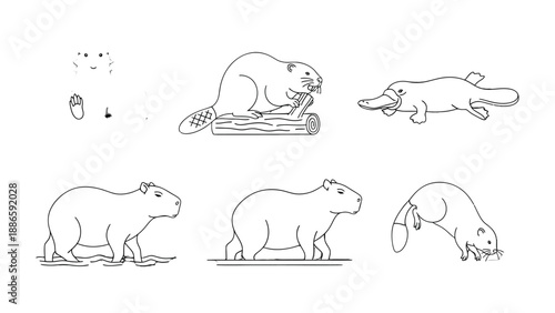 Exotic Fauna Sketches: A collection of meticulously crafted line art illustrations showcasing the unique forms of various fascinating creatures. 