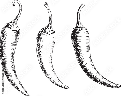 Hot chili paper icon set vector on white background. chili, pepper, jalapeno, vegetable, food, organic vector icons.