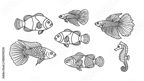Undersea sketch: A group of line art drawings featuring several unique fish species, capturing the elegance of aquatic life.