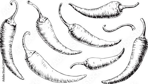 Hot chili paper icon set vector on white background. chili, pepper, jalapeno, vegetable, food, organic vector icons.