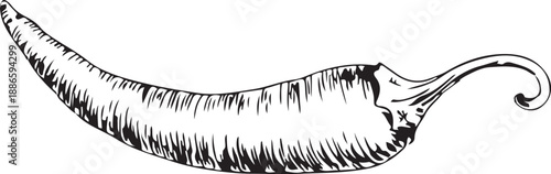 Hot chili paper icon set vector on white background.