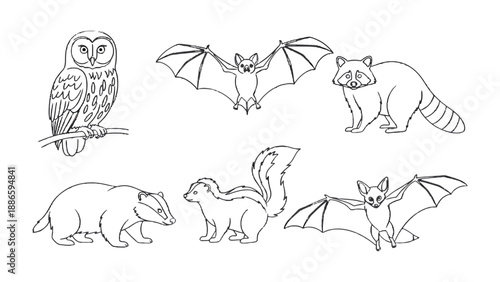 Nocturnal Wildlife Outlines: A collection of meticulously outlined nocturnal animals, including an owl, bats, raccoon, badger, and skunk. Representing nature's mysterious creatures. 