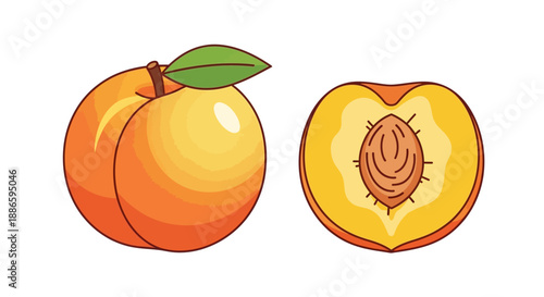 Colorful vector illustration of whole and halved peach with leaf