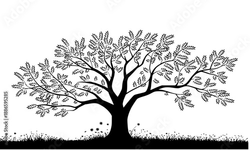 Large Spreading Leafy Tree Silhouette Vector, Garden Banyan or Oak Tree with Lush Foliage, Nature Landscape Illustration, Minimalist Botanical Graphic, Environmental Symbol Isolated on White