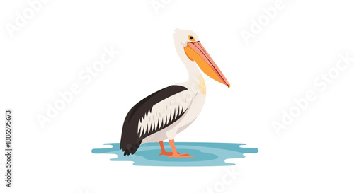 Illustration of a Pelican Standing on Water in Minimalist Style