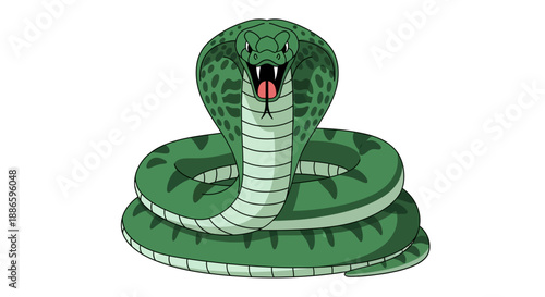Illustration of a coiled green snake with open mouth and fangs