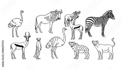 African wildlife sketch collection: A captivating collection of meticulously sketched African wildlife illustrations showcases the diverse fauna.