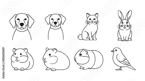 Pet Portraits: Adorable line drawings of various pets, including dogs, a cat, a rabbit, hamsters, a guinea pig, and a bird, capturing their unique characteristics in a simple yet charming style.