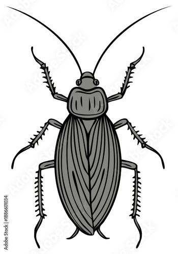 Stylized grey cockroach insect vector illustration a common crawling pest with distinct antennae and segmented body