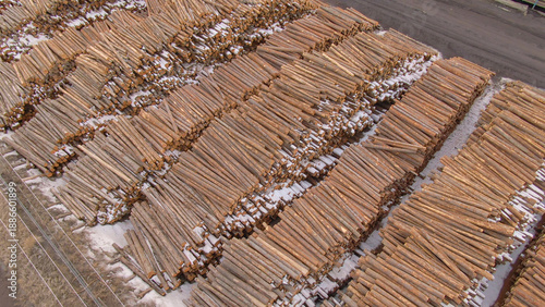 Quadro em tela AERIAL: Flying over chopped down tree trunks stacked into piles near a sawmill