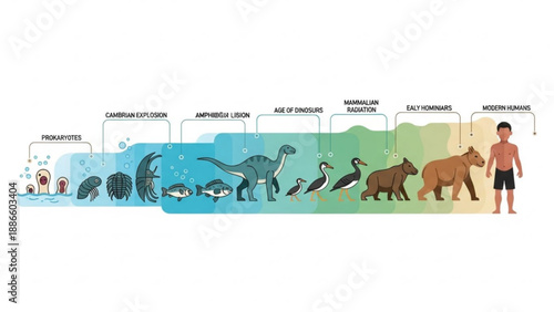 Evolution of life on earth ecosystem layers from ocean to atmosphere habitat diversity