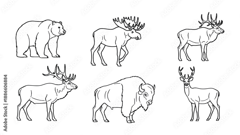 Fototapeta premium North American Wildlife: A set of six unique outline illustration of North American wildlife, ideal for educational or artistic projects. Featuring a bear, moose, bison, and various deer species. 