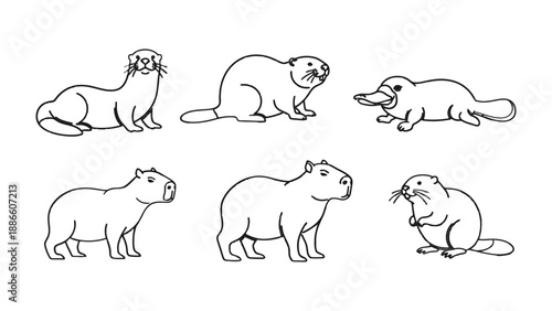 Diverse Mammal Lineup: A captivating collection of adorable mammal illustrations, showcasing a variety of creatures in a simple, engaging style.