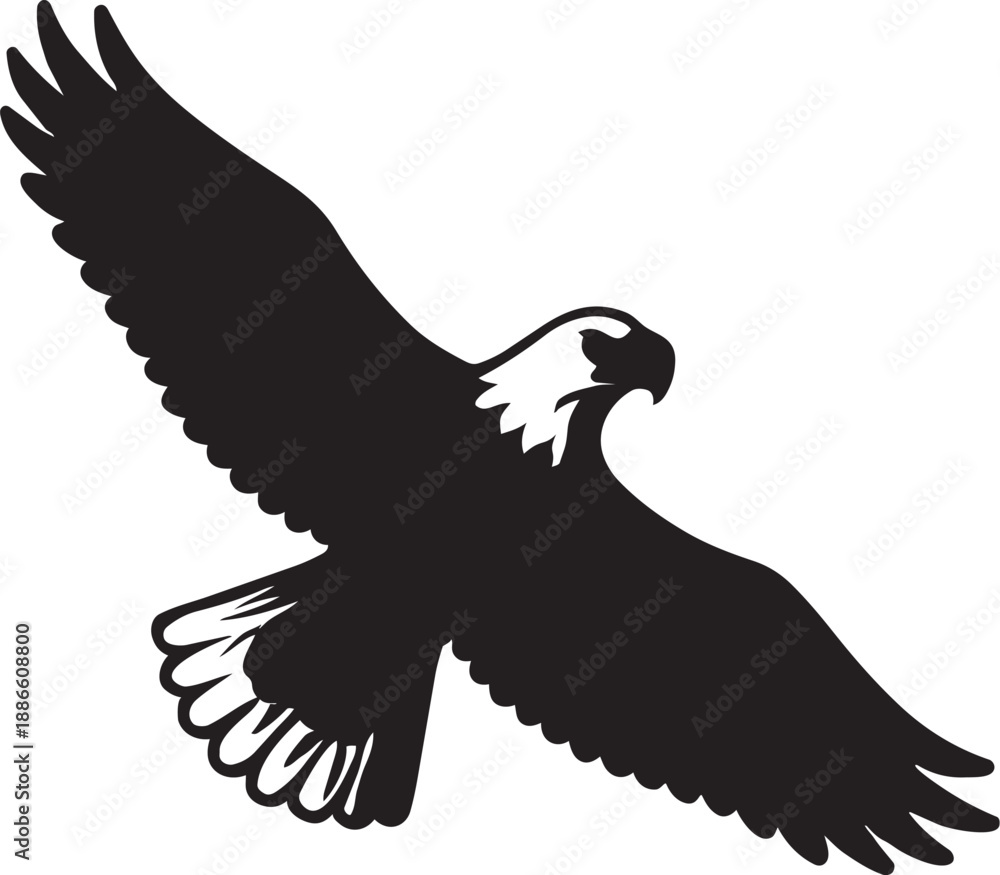 Obraz premium eagle vector illustration