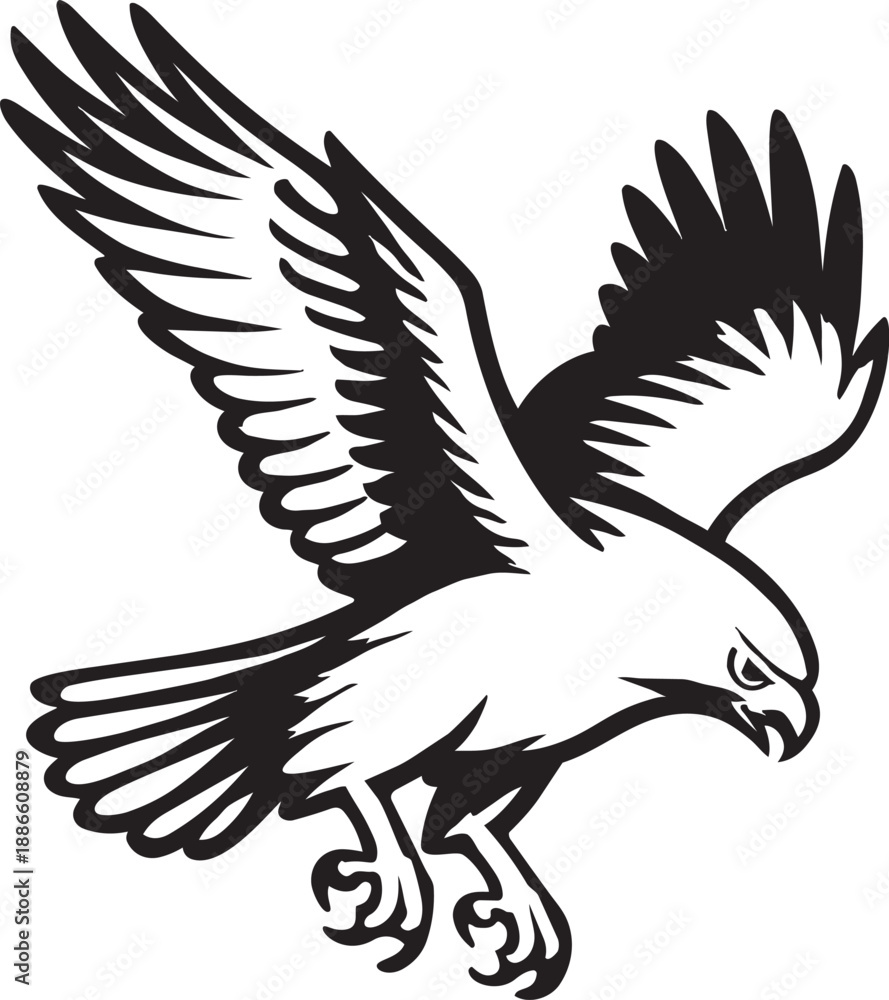 Obraz premium eagle in flight vector