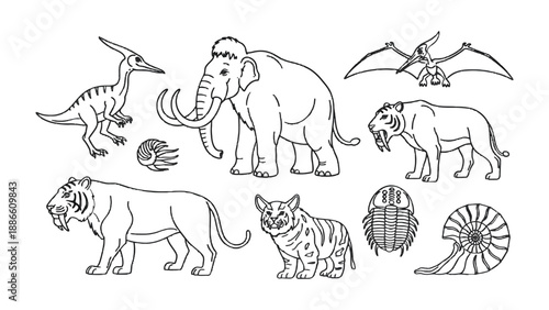 Prehistoric Creatures: An illustrated collection showcases a variety of ancient animals, each meticulously depicted with a focus on detail and educational representation.