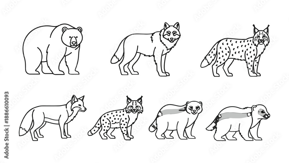 Fototapeta premium Wildlife Sketches: A series of expertly crafted line drawings showcase the diverse beauty of nature's creatures. These illustrations depict a bear, wolf, fox, badger.