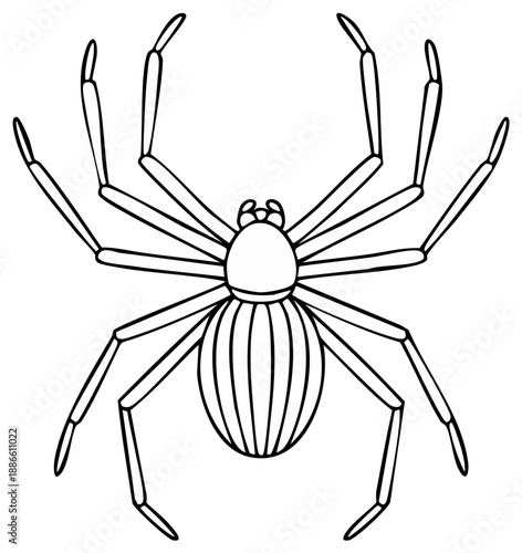 Line Art of a Spider with Detailed Abdomen, Isolated Vector Illustration for Halloween and Horror Designs