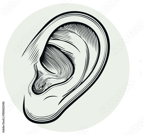 Illustrative Vintage Sketch of a Human Ear with Fine Hatching Lines in a Circle