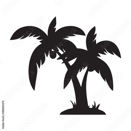 silhouette of palm tree