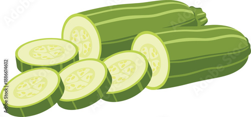 Fresh Zucchini and Sliced Courgette Illustration in Flat Vector Style