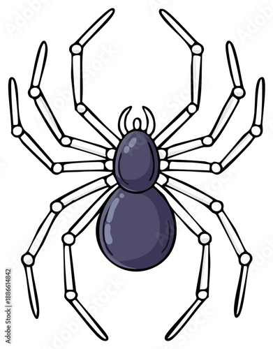 Cartoon Spider Illustration with Detailed Legs and Body Insect Arachnid Creature Halloween