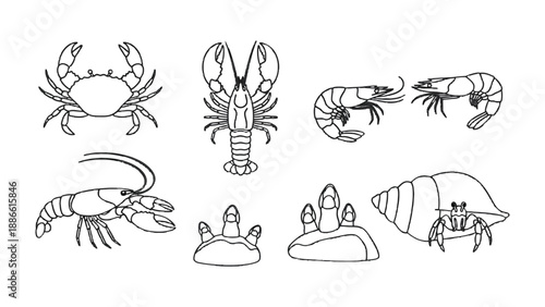 Seafood Delights: An array of delightful seafood, including crabs, lobsters, shrimp, and hermit crab. Depicting the various forms of marine life for an artistic and aesthetic view.