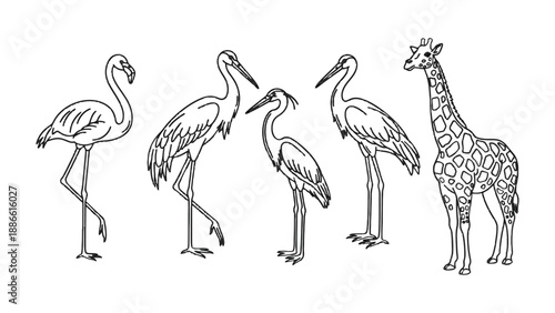 Zoo animals illustration: a black and white illustration depicting a serene gathering of zoo animals, highlighting the unique features and characteristics of each animal