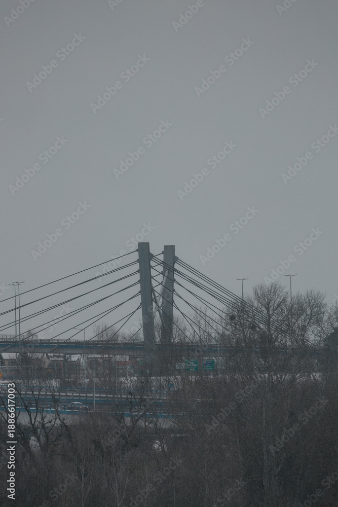 Fototapeta premium View of the bridges of the city of Toruń and the frozen, snowy Vistula River