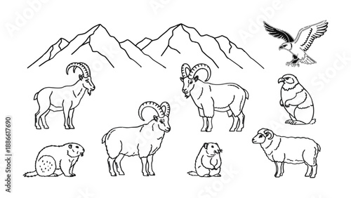 Mountain Fauna Illustration: A detailed black and white illustration presents diverse mountain fauna against a backdrop of towering peaks, capturing the essence of alpine wildlife.