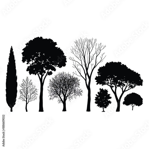 Silhouettes of various trees against a plain white background