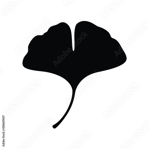 A striking silhouette of a ginkgo biloba leaf on white background