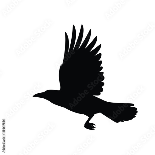 A striking silhouette of a bird in mid flight wings fully extended