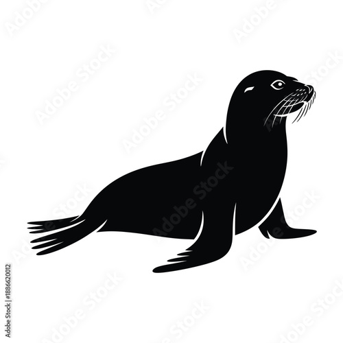 Simple black silhouette of a walrus with visible whiskers and flippers