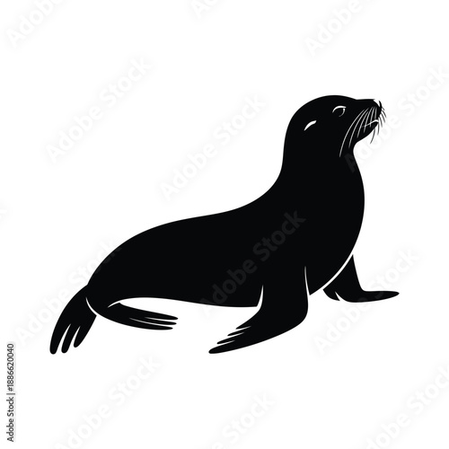 A silhouette of a sleek sea lion resting peacefully on land